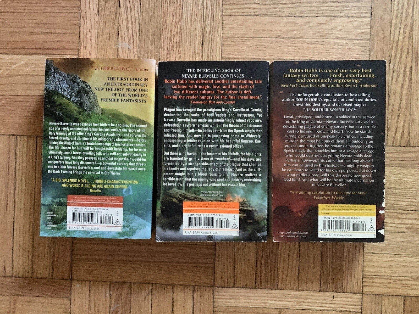 Robin Hobb Soldier Son Trilogy ~ VTG Epic Fantasy: Realm Of The Elderlings