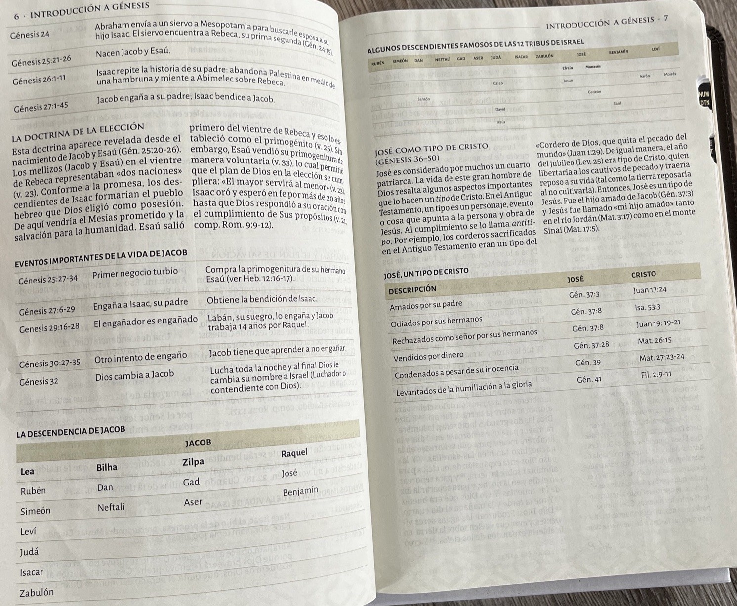 Biblia tematica RVR 1960 de Estudio, Marrón OscuroPiel Fabricada indice