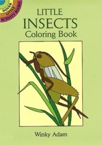 Little Insects Coloring Book (Dover Little Activity Books) by Winky Adam