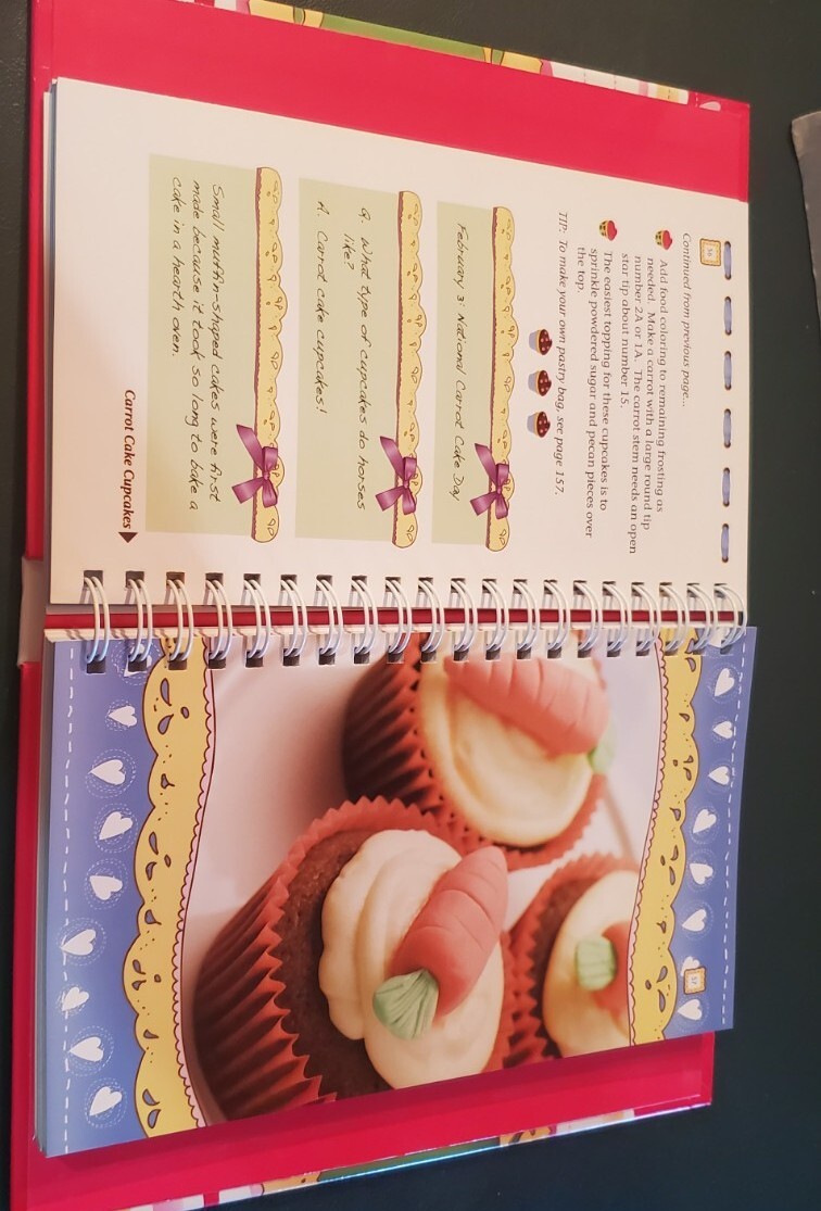 NEW „EASY CUPCAKE RECIPES“ Hardback Spiral 2010 Cookbook Resources LLC 174 Pages