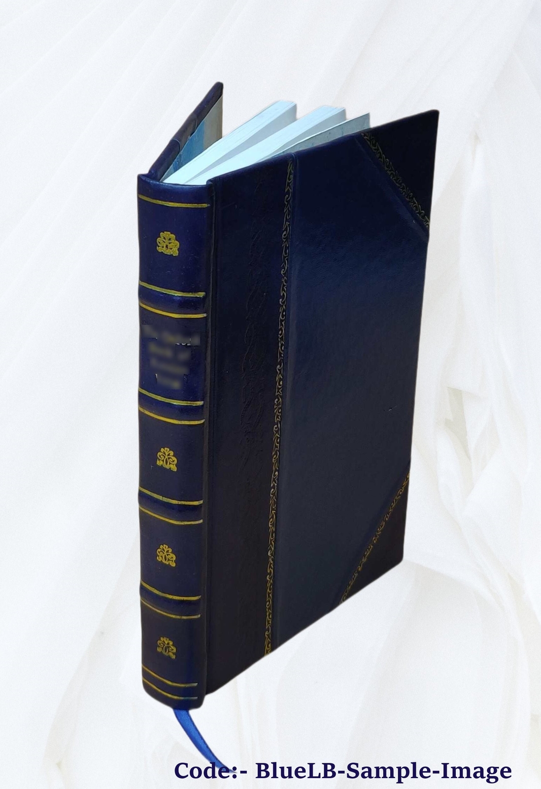 Historical And Genealogical Account Of The Rush Family 1925 [Leather Bound]