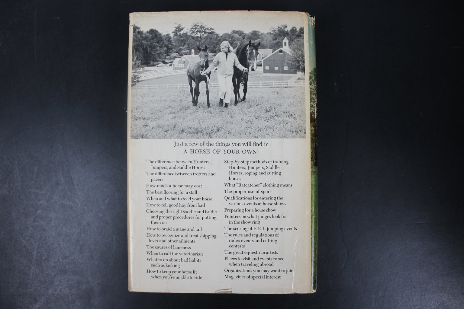A Horse of Your Own Stoneridge 1963 First Edition Illustrated Equestrian HCDJ