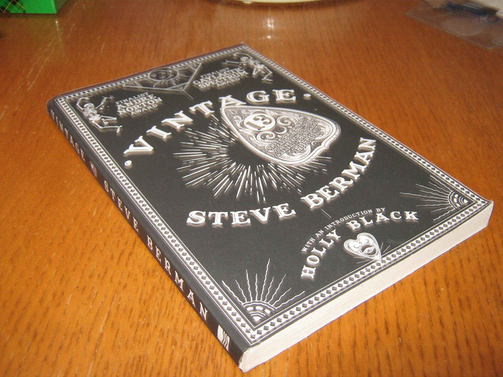 Vintage: the 13th Anniversary Edition by Steve Berman – Lethe Press TPB (2020)