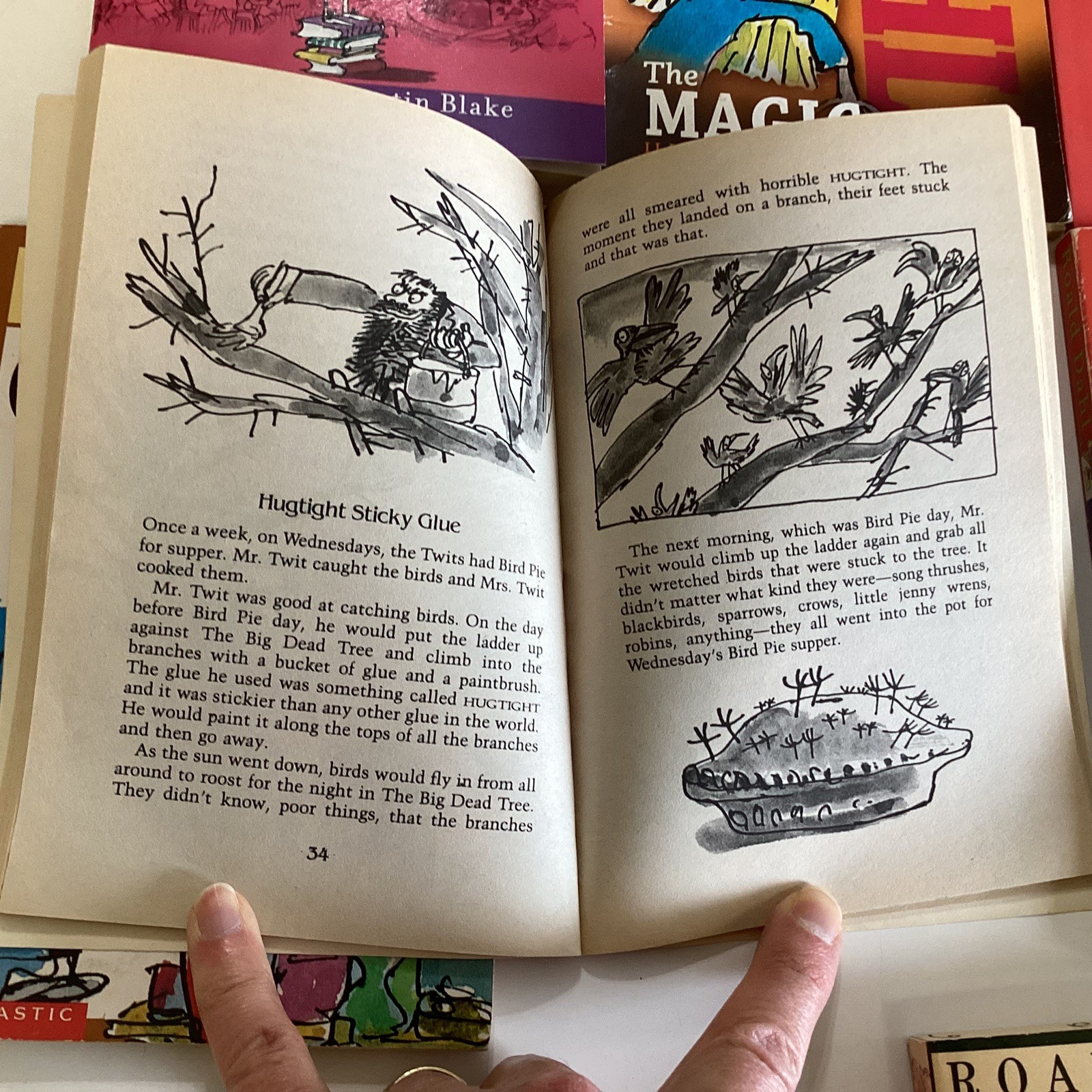Roald Dahl 9 Book Lot Chocolate Factory Matilda BFG Magic Finger Twits
