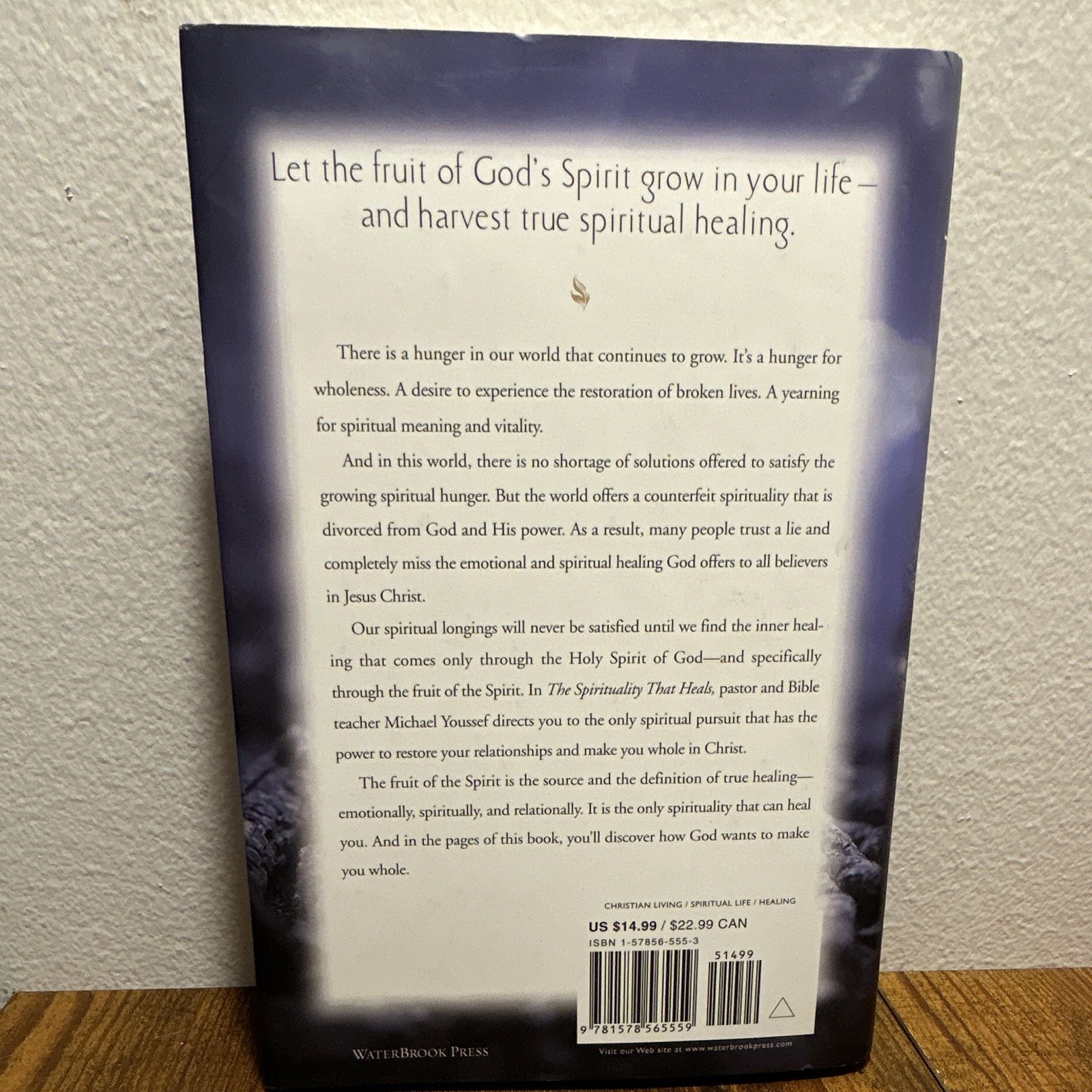 Michael Youssef The Spirituality That Heals God’s Provision 2003 Hardcover