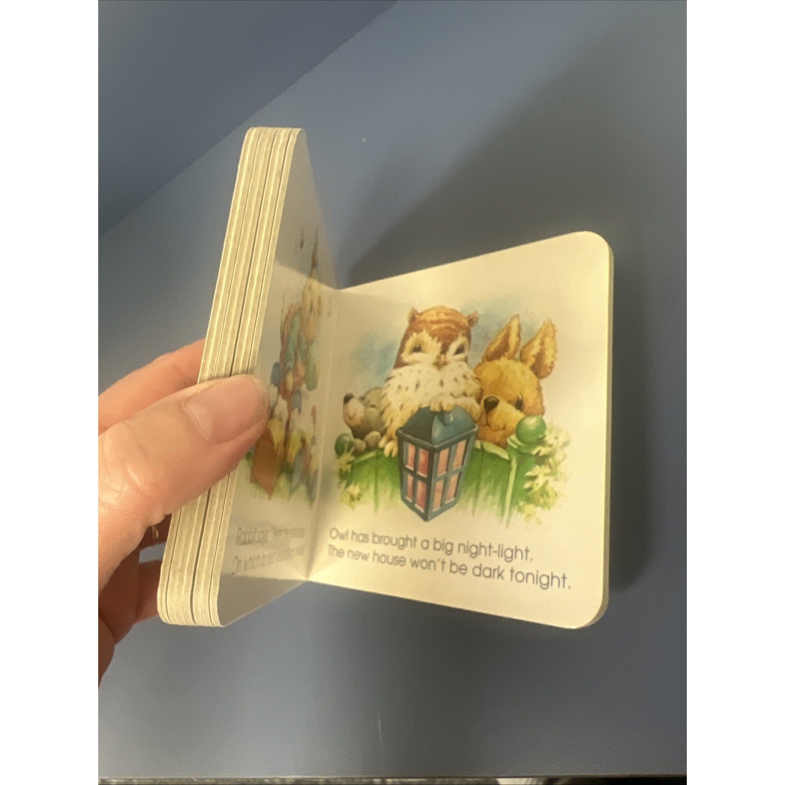 MOUSE’S HOUSE (BIG LITTLE FAT BOOKS) By Lorna Read & Roy Trower – Hardcover *VG*