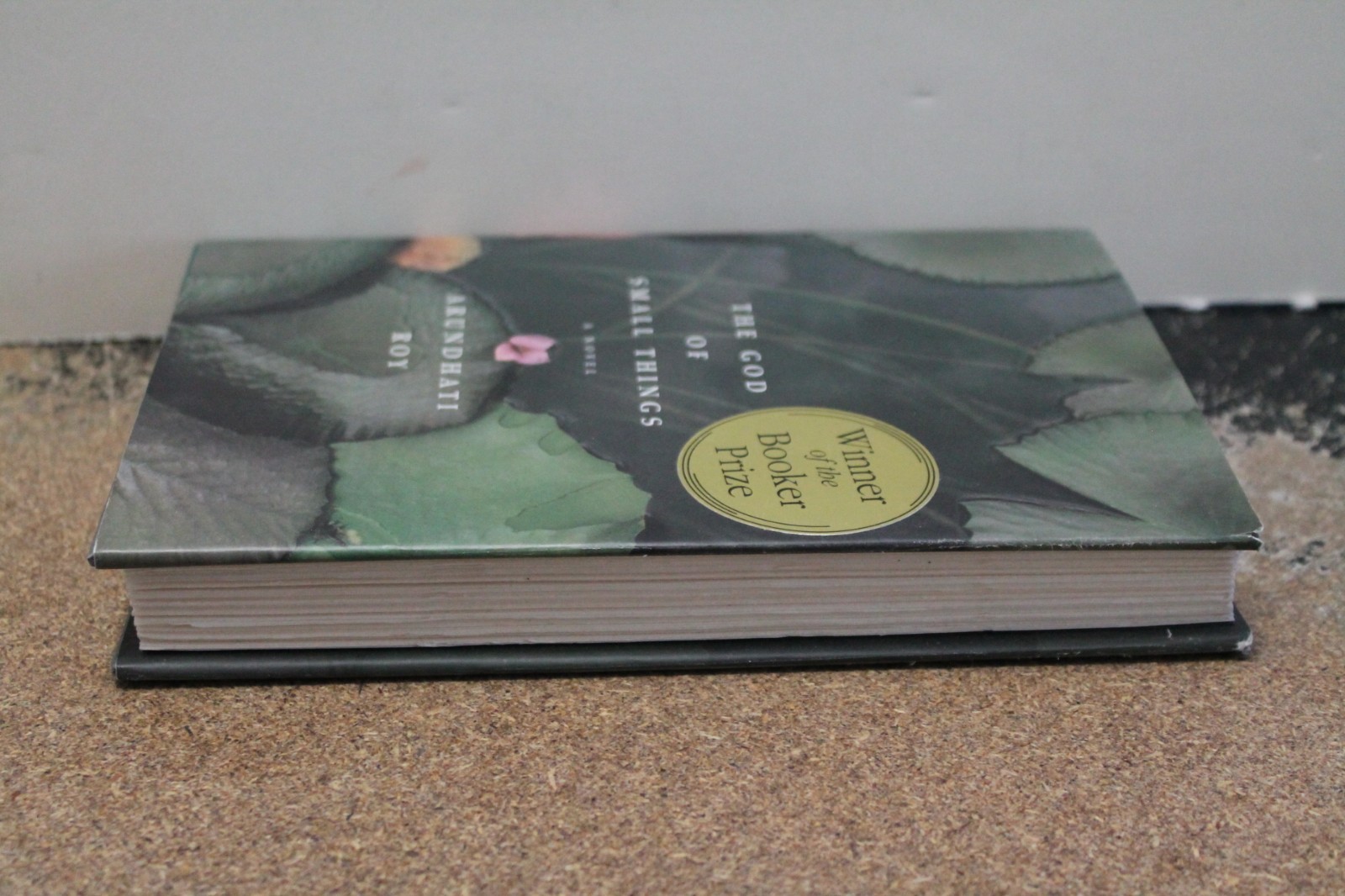 God of Small Things by Arundhati Roy (1997, Hardcover) Booker Prize winner