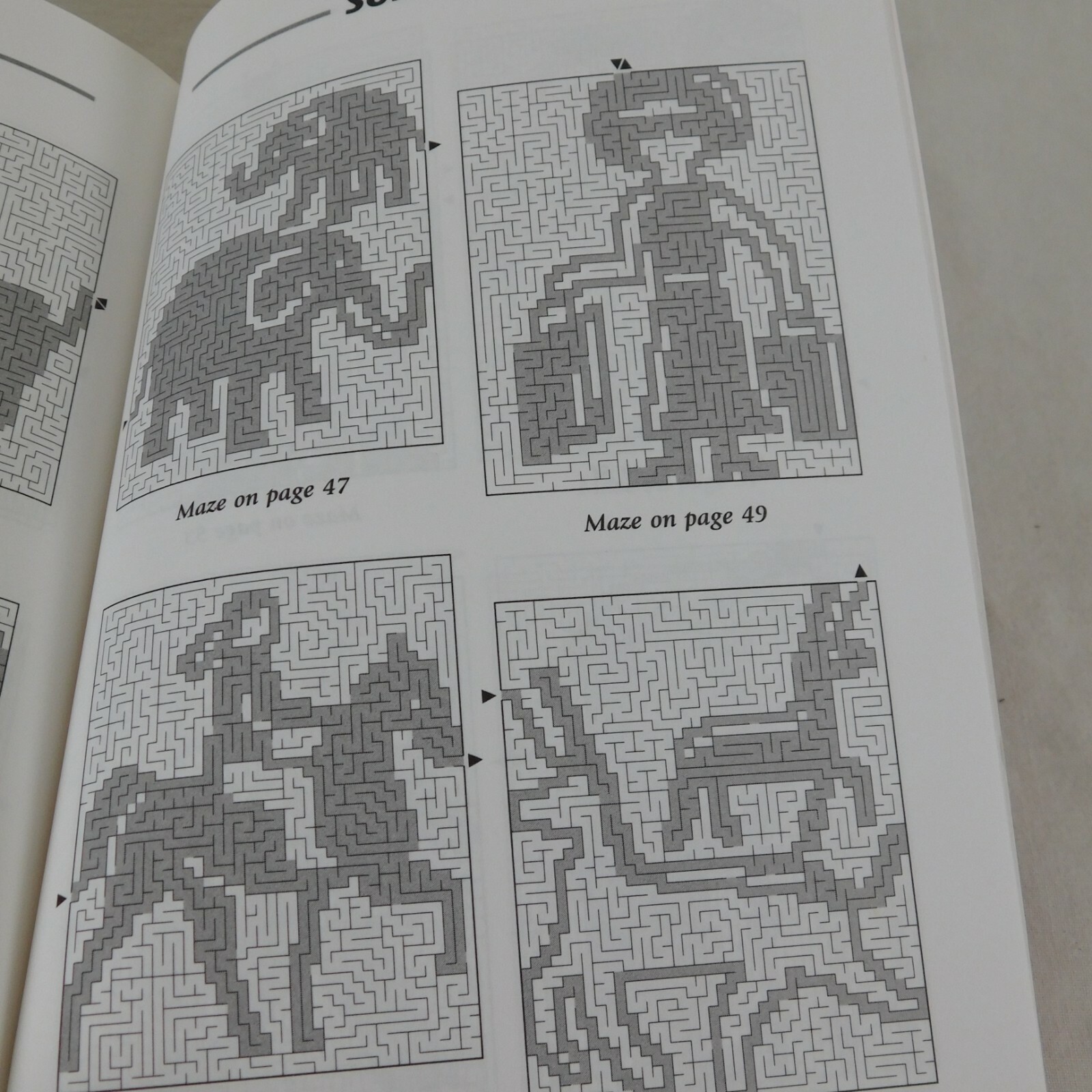 Picture This! Mazes Conceptis Puzzles 2005 Completed Mazes Create a Picture Kids