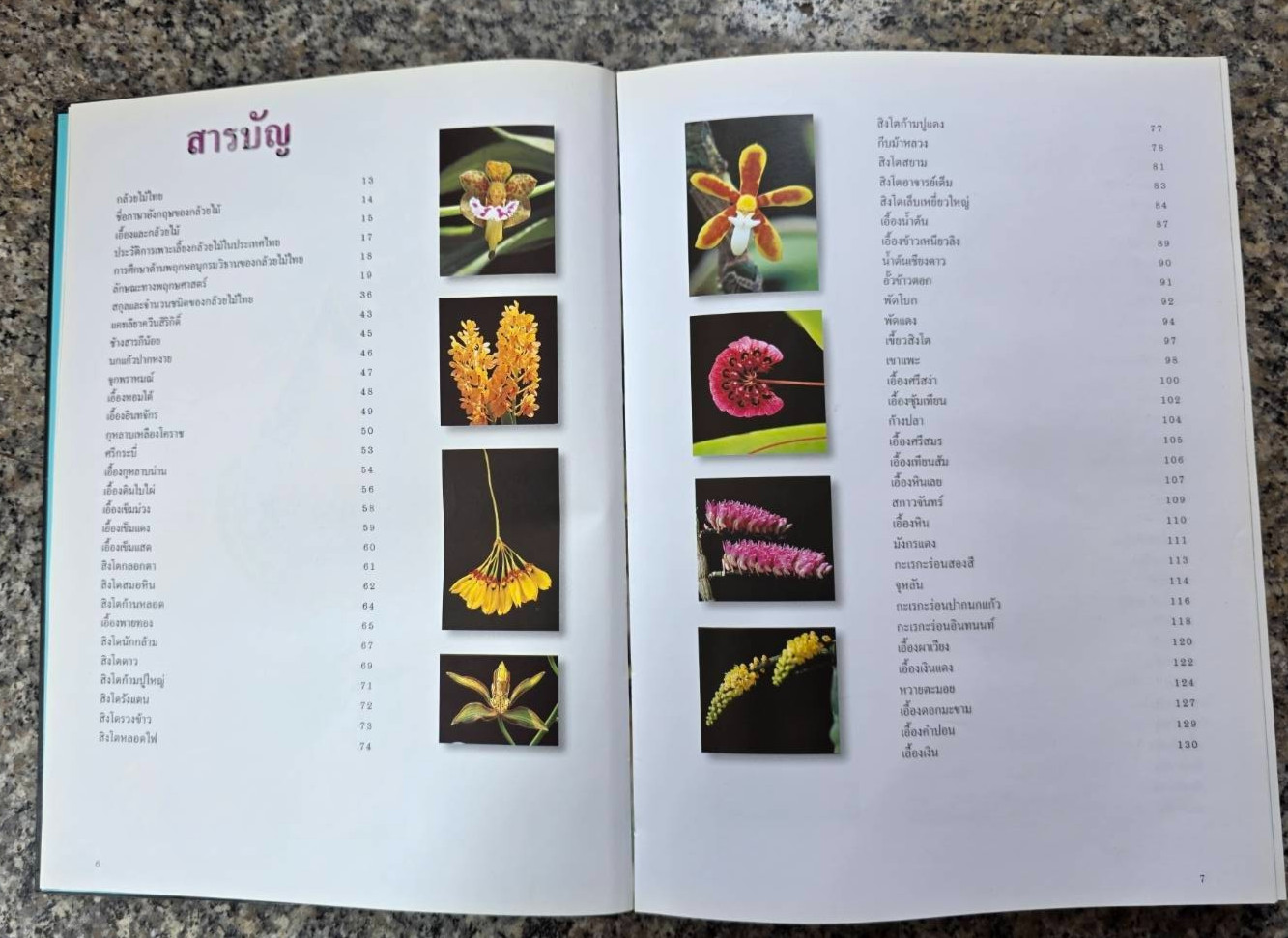 Hardcover book featuring all “ Thai orchids. “ ( Hardcover)