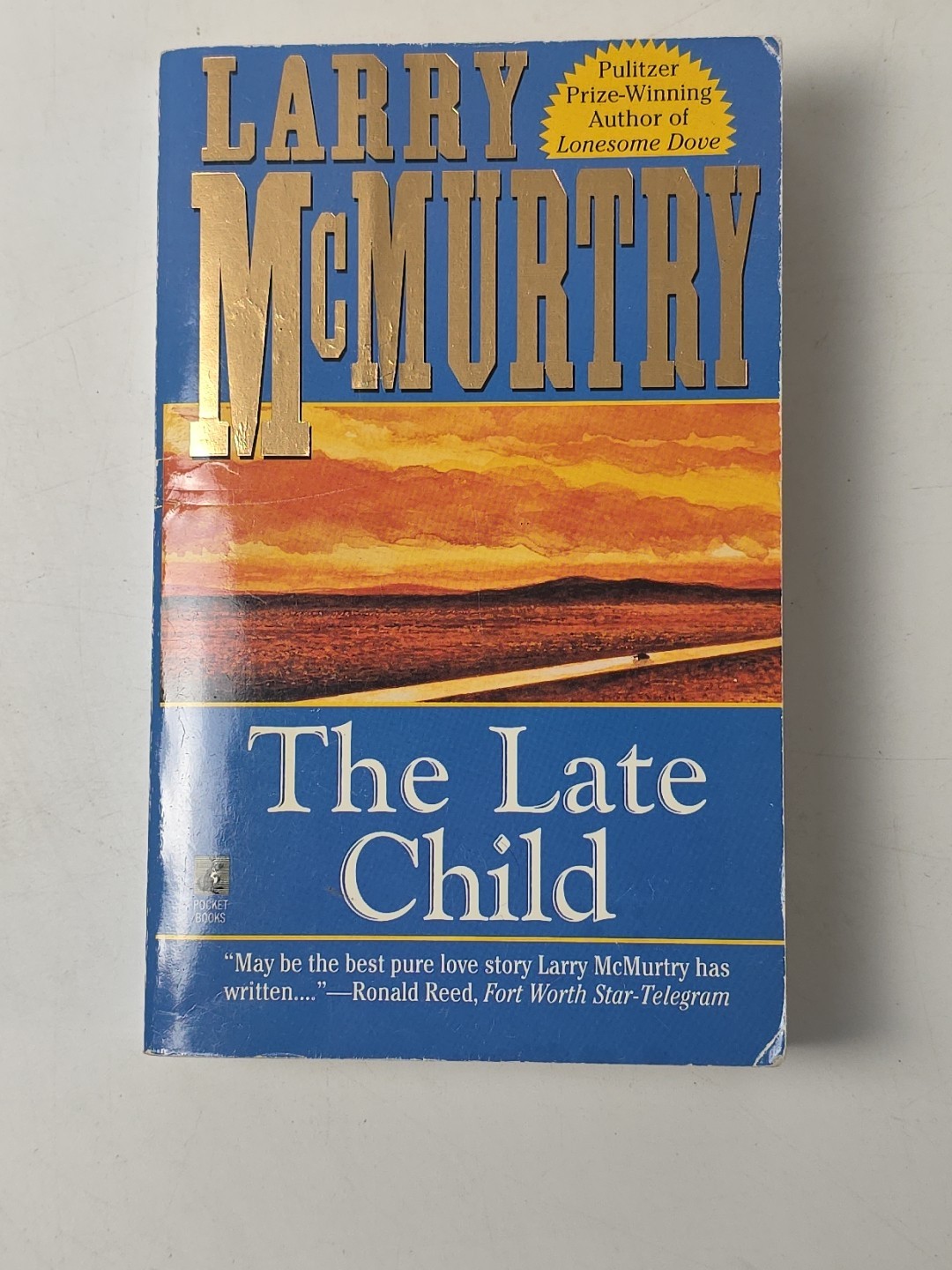 Lot of 17 Larry McMurtry Books (12 Hardcover; 5 Paperback) ~ Many First Editions
