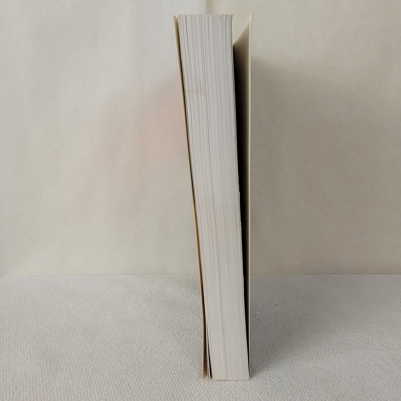 The Stephen King Companion soft cover book 1989