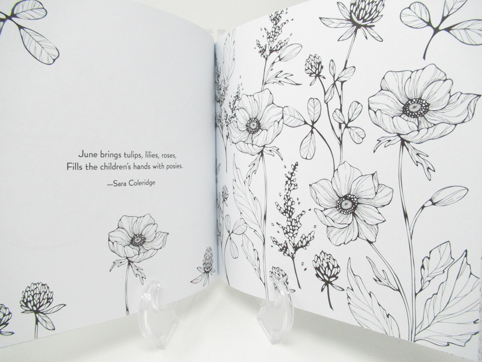 Adult Coloring Book Cottage Garden Floral 80+pages intricate designs patterns