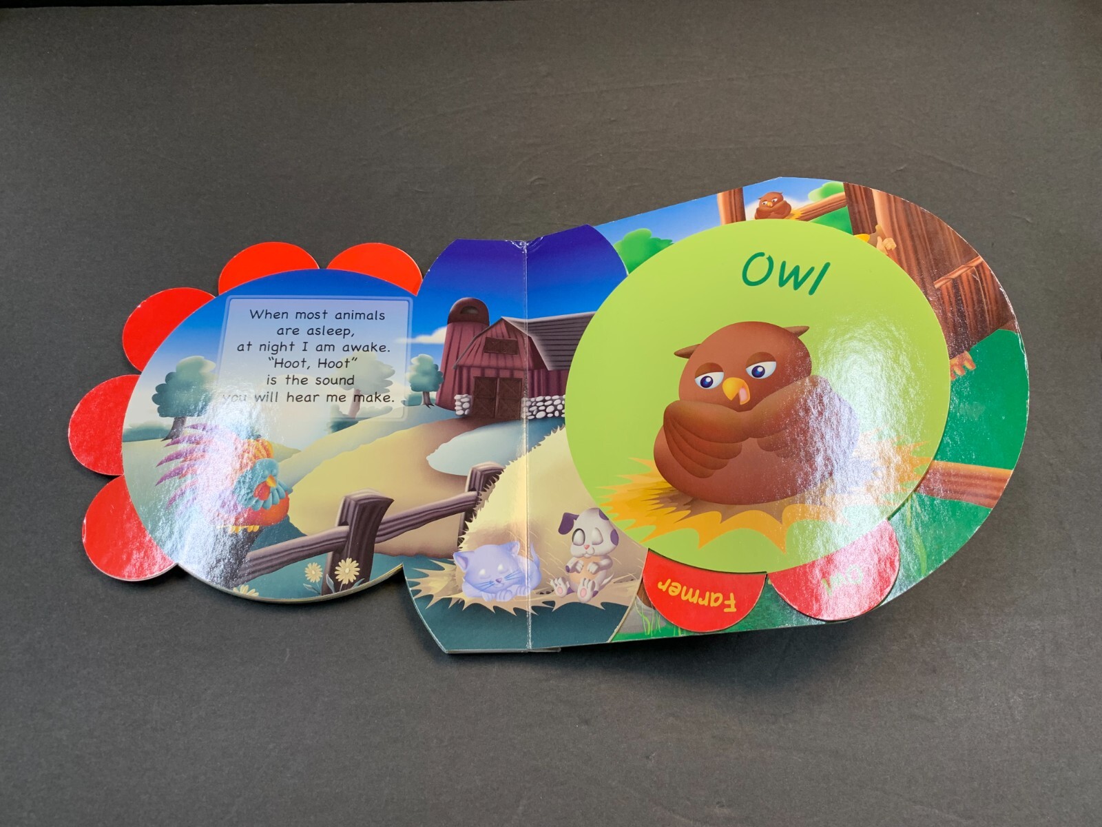 Name Me! Farm by Colleen Fitzgerald Circle Tab Books Board Book