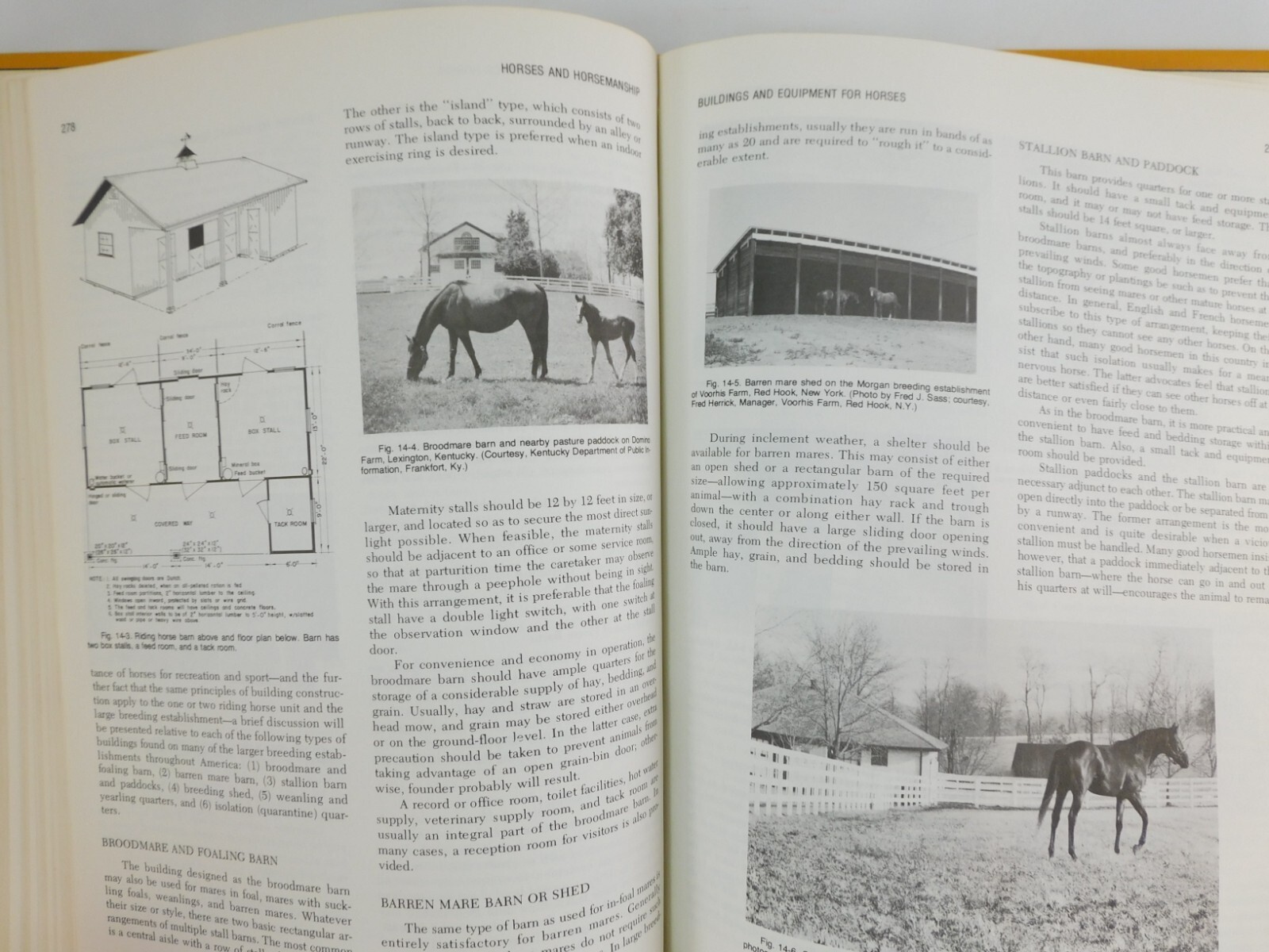 Horsemanship and Riding Horses Equestrian Riding 1977 Illus HC by M E Ensminger