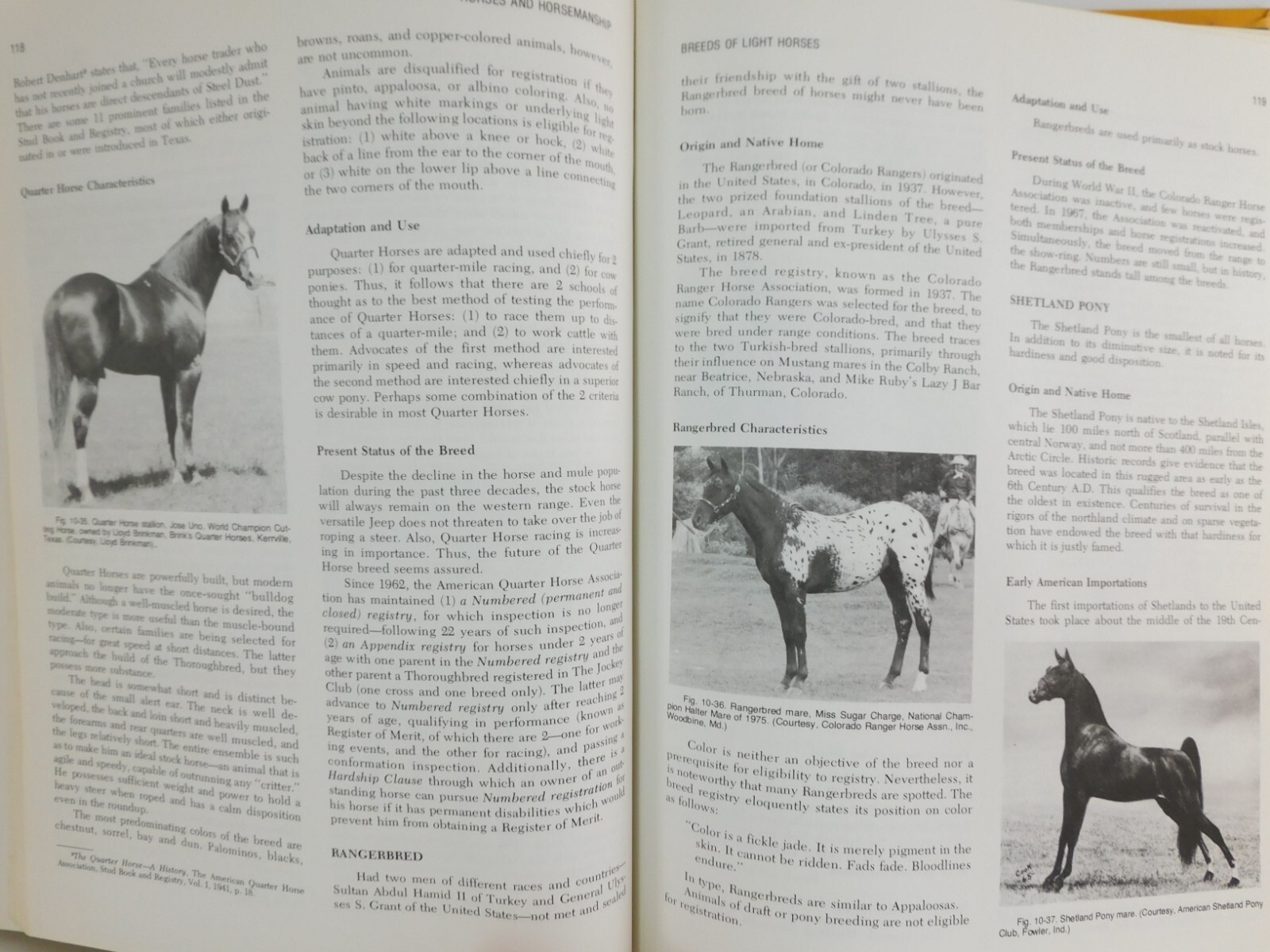 Horsemanship and Riding Horses Equestrian Riding 1977 Illus HC by M E Ensminger
