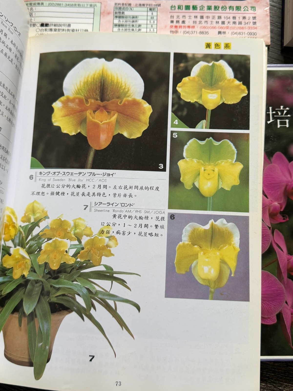 ORCHID Book 6pc Lot Chinese Language Hardcover Softcover Flowers Floristry