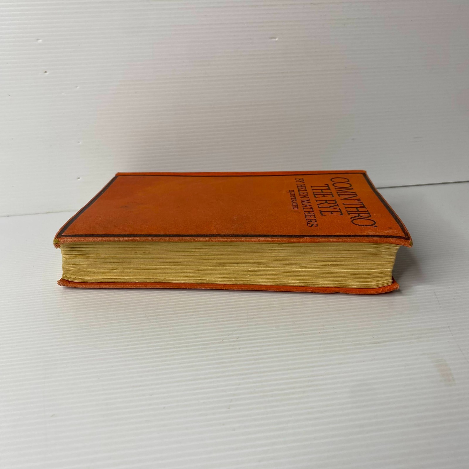 Comin‘ Thro‘ the Rye by Helen Mathers