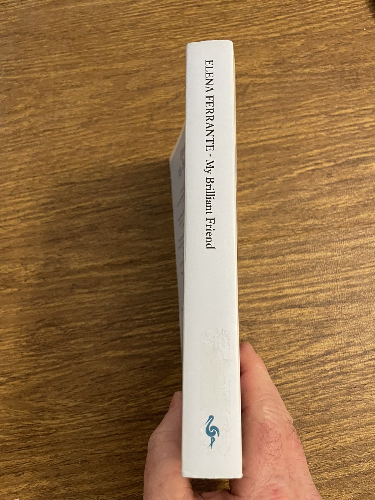 My Brilliant Friend Elena Ferrante Paperback Book Like New