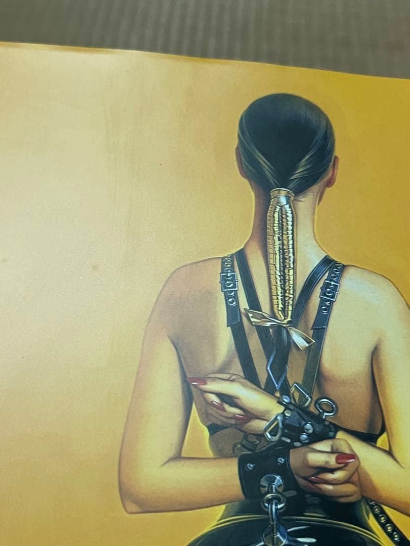 The Gynoids : Hajime Sorayama Art Collection Book Japan