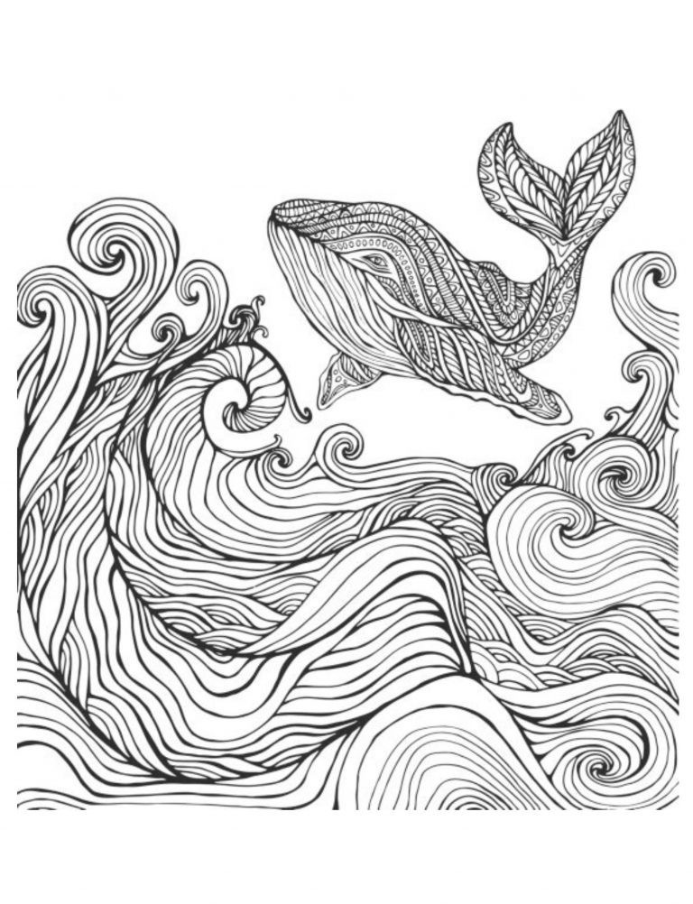 Best Save the Whales Coloring Save the Planet Series 108 Pages 8.5 x 11 All Ages