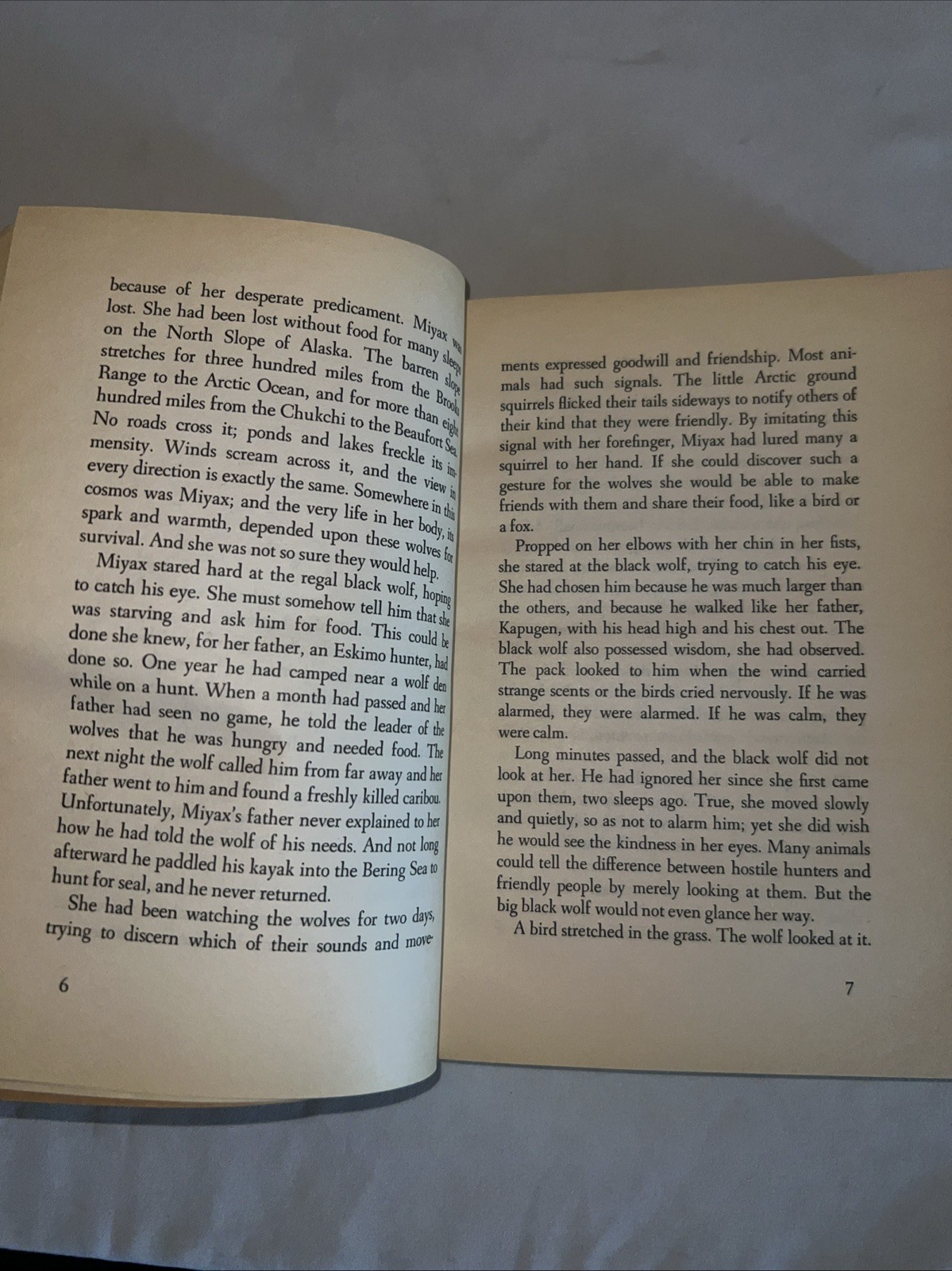 Julie Of The Wolves – George, Jean Craighead – Good – See condition notes