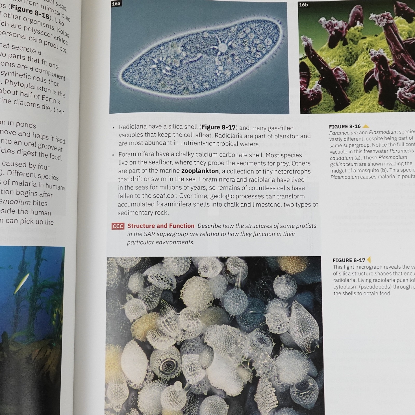 National Geographic Biology Student Edition Cengage 2024 Hardcover