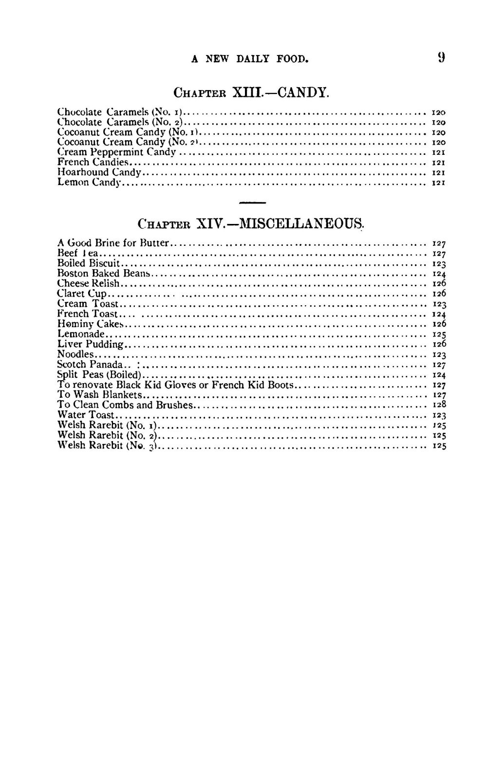 1885 A New Daily Food Vintage Cook Book 129 Pages