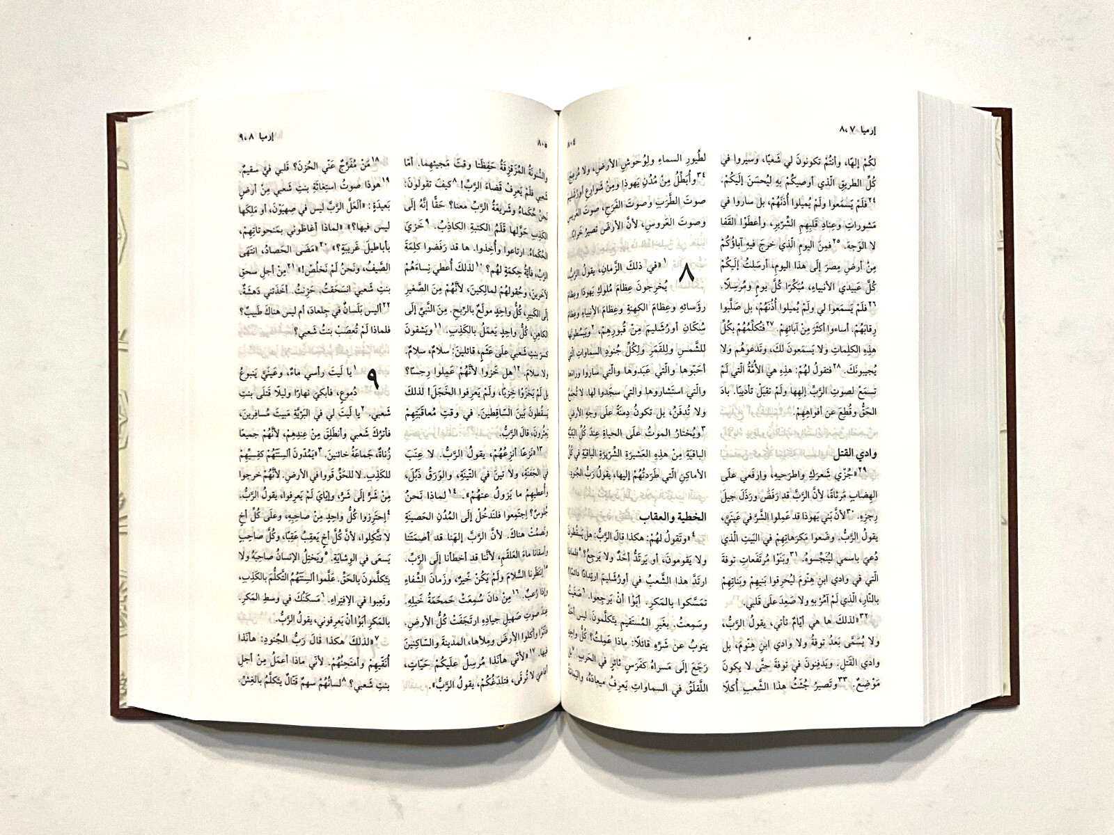 Arabic Bible, New Van Dyck, Brown Hardcover, Classical Version, Bible