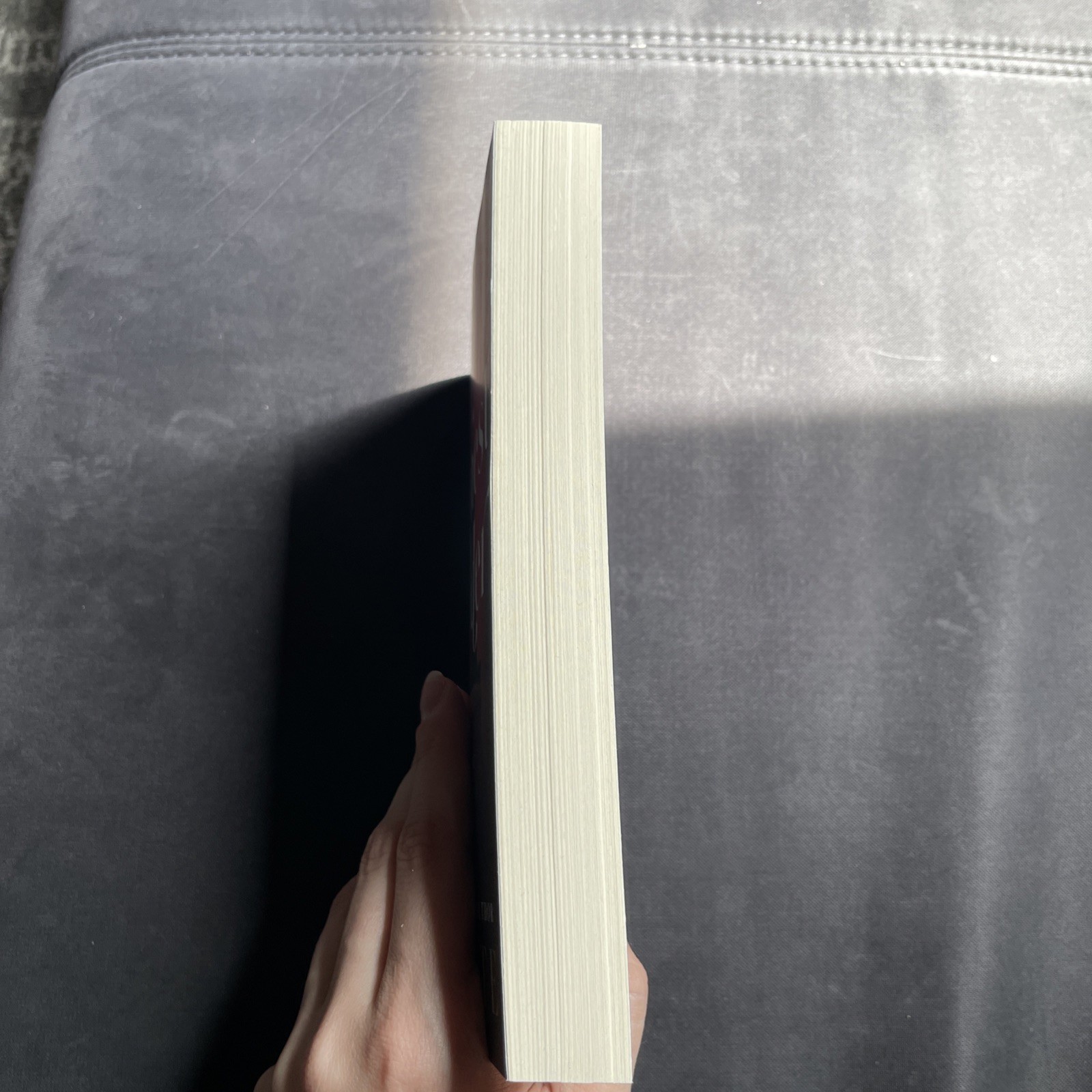 Highest Bidder by Sara Cate (2024, Trade Paperback)