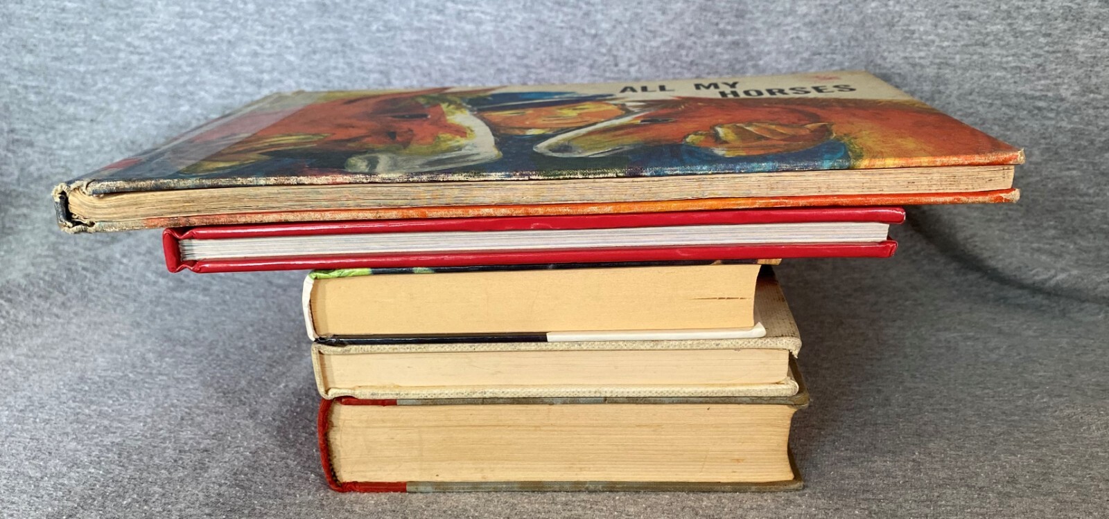 Horse Equestrian Books 29 in Lot 5HC & 24PB Chapter Picture Riding Veterinarian