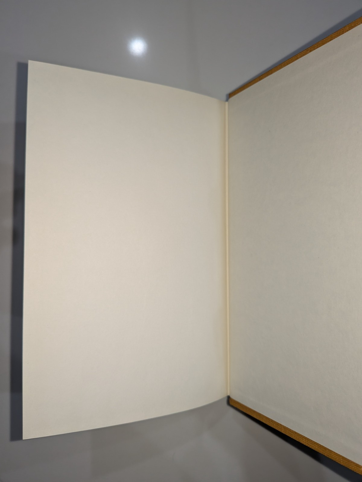 The Buchans Orebodies | 1981 GAC Special Paper 22 | Mining Geology Hardcover