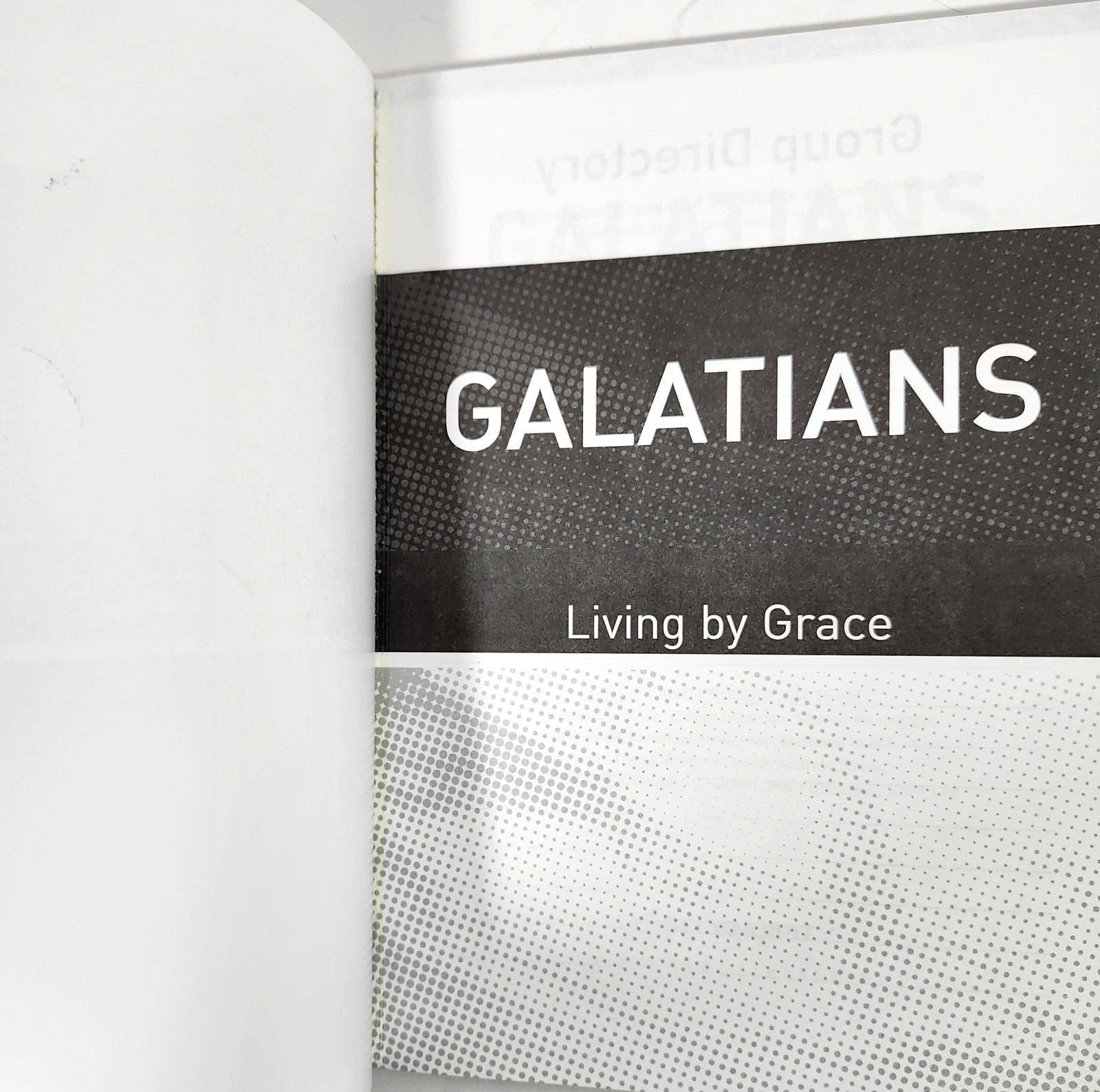 Living by Grace: A Study in Freedom in Christ based on GALATIANS (2003, TP)