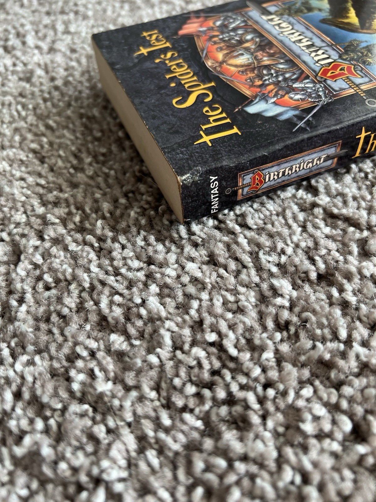 The Spider’s Test by Dixie Lee McKeone (TSR, 1996) First Vintage Fantasy MMPB