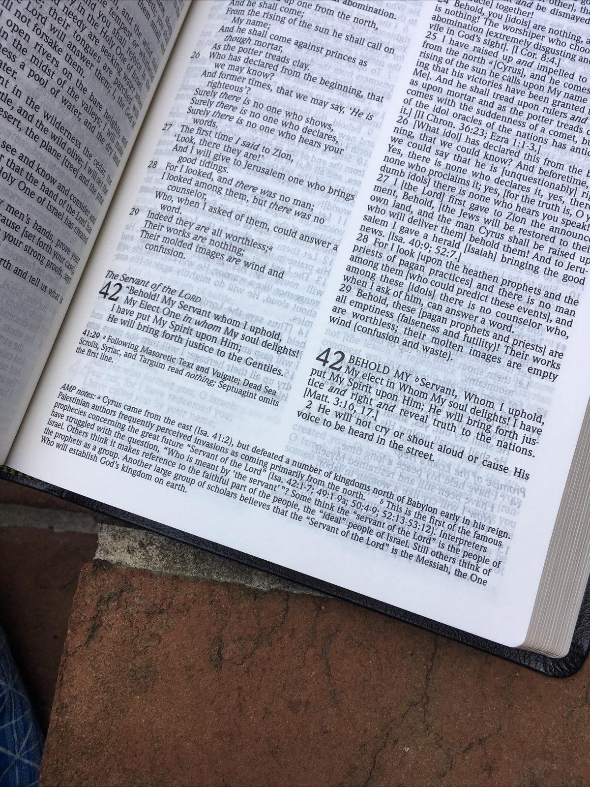 NKJV & Classic Amplified 1987 AMPC Parallel Bible – Black Bonded Leather