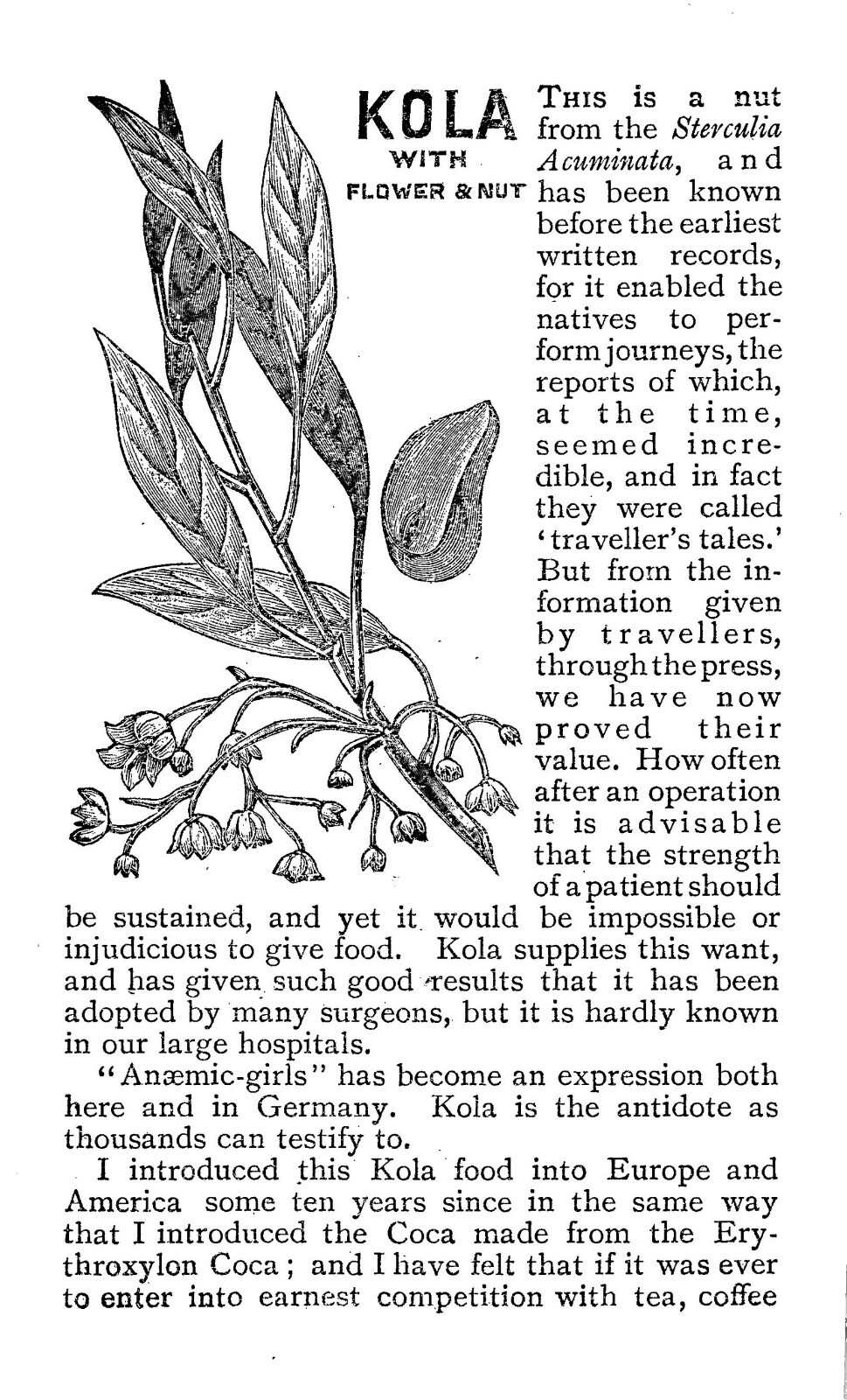 1895 Household Remedies 40 Pages