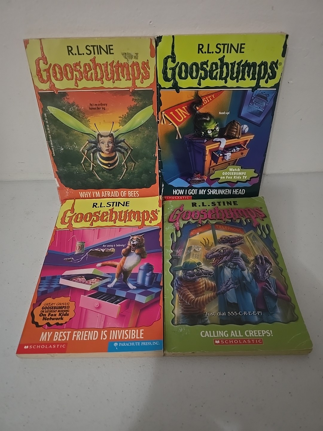 R.L. Stine Book Lot Of 24- Fear Street, Twisted, Rotten School, Goosebumps,