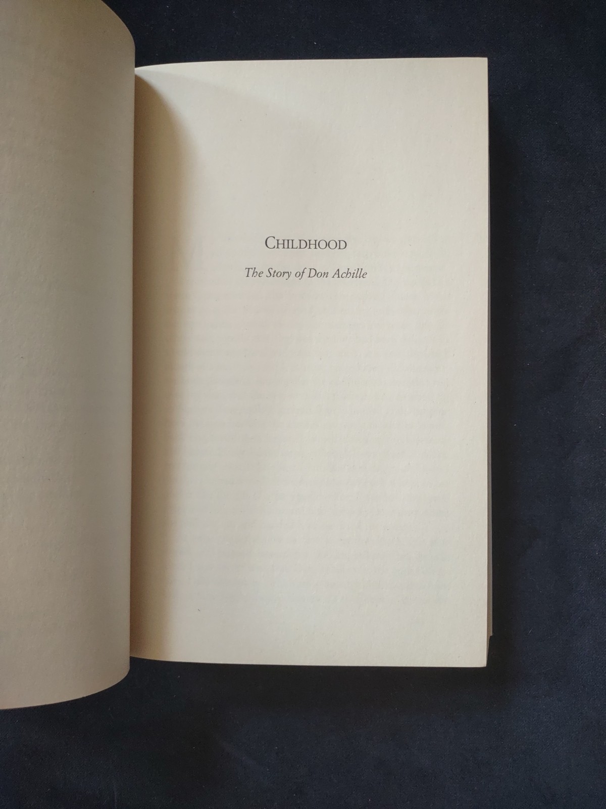 MY BRILLIANT FRIEND Neapolitan Novels Book One Softcover Ferrante Italian Author