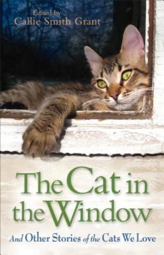 The Cat in the Window: And Other Stories of the Cats We Love – Paperback – GOOD