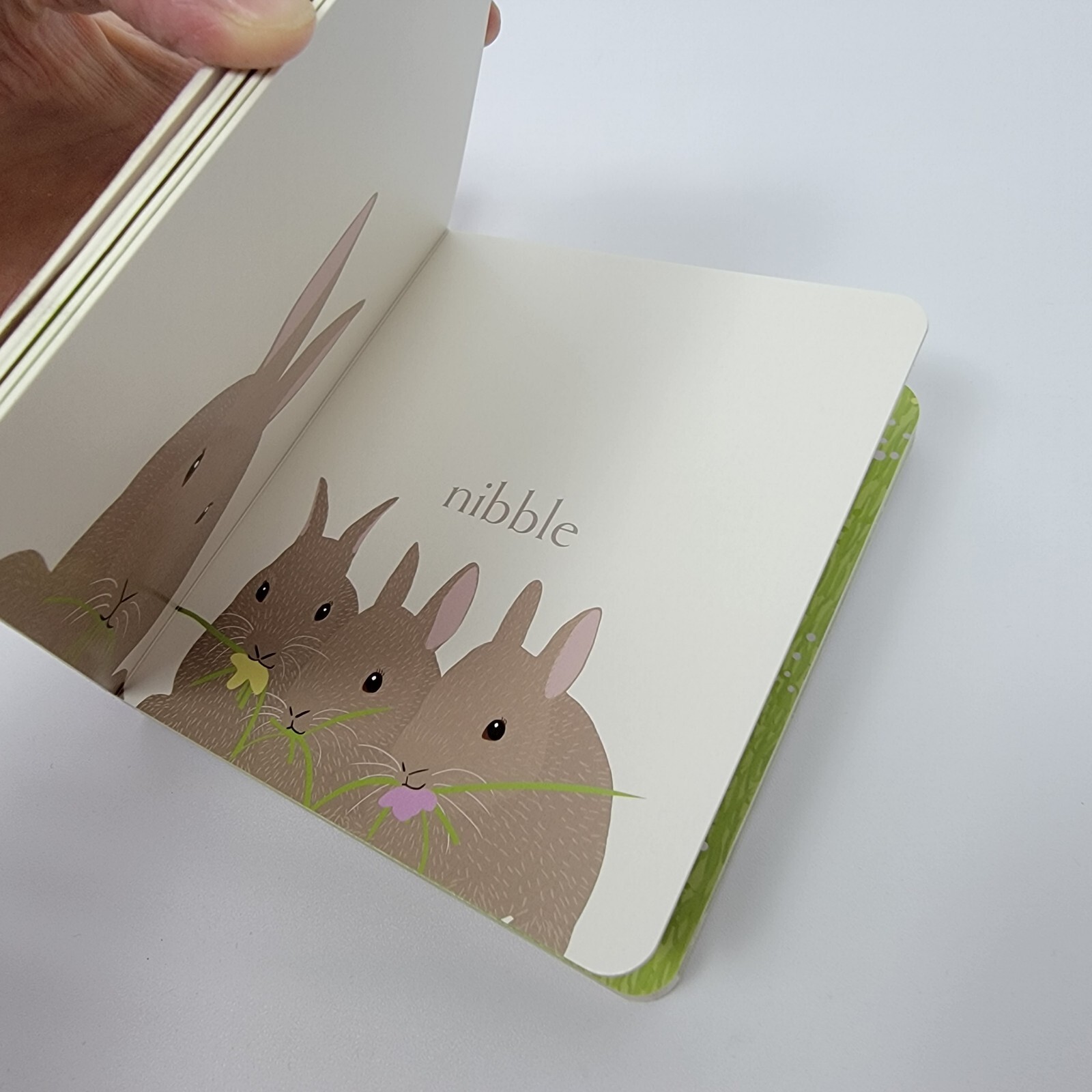 „New“ Hop, Hardcover Little Simon by Jorey Hurley. Kind book 5.5″x6″x0.75″