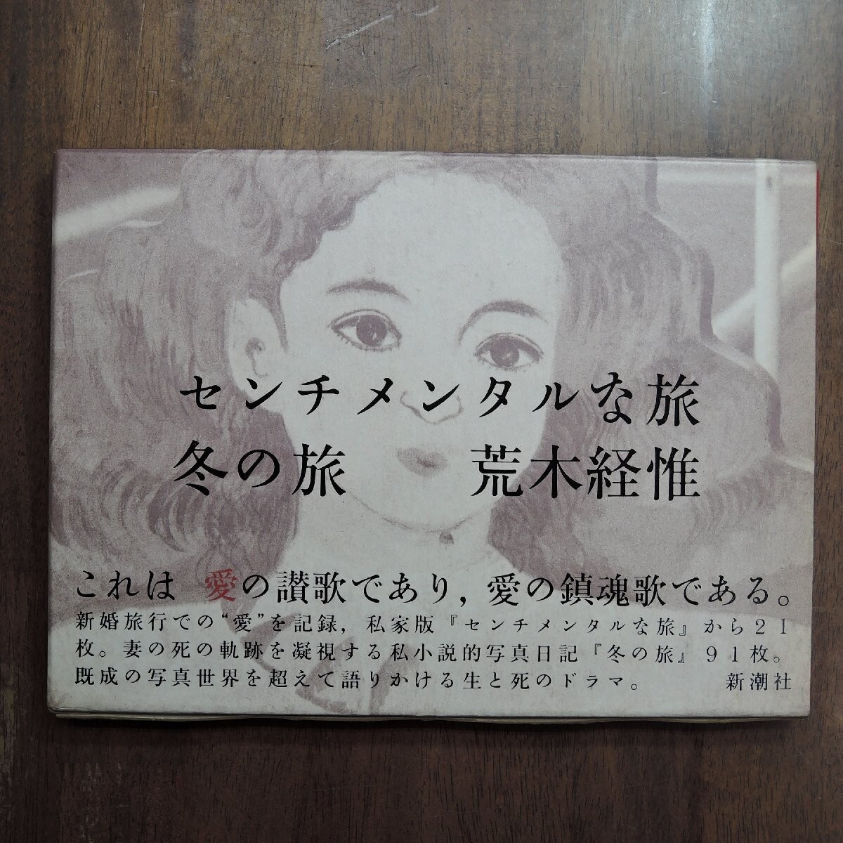 Photo Book Sentimental Journey Winter 1991 Nobuyoshi Araki Japanese Used