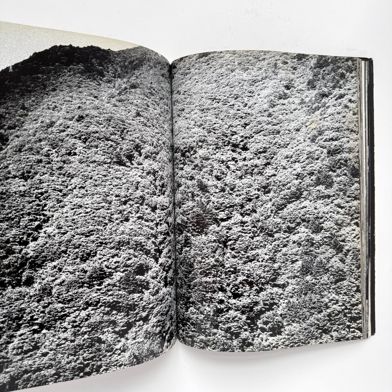 Daido Moriyama – Hikari to Kage (Light and Shadow) First Edition, 1982