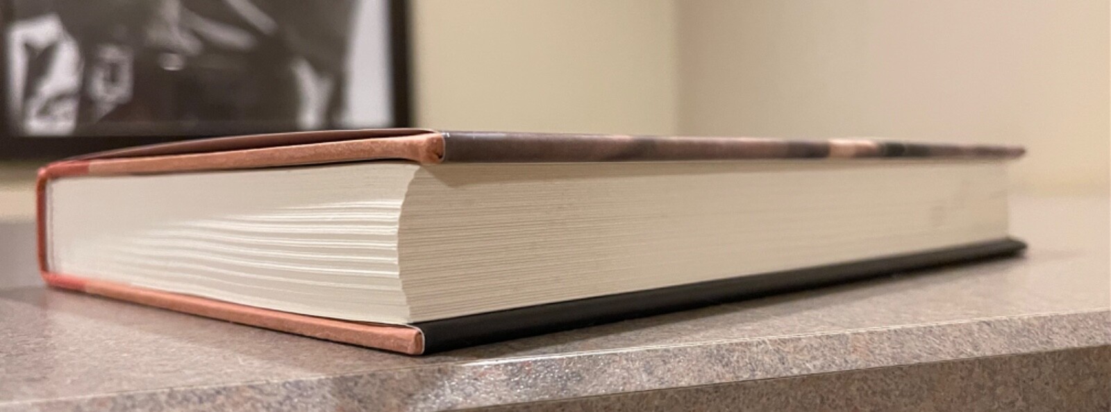 The Club Dumas by Arturo Pérez-Reverte (First Edition, 2nd Printing Hardcover)