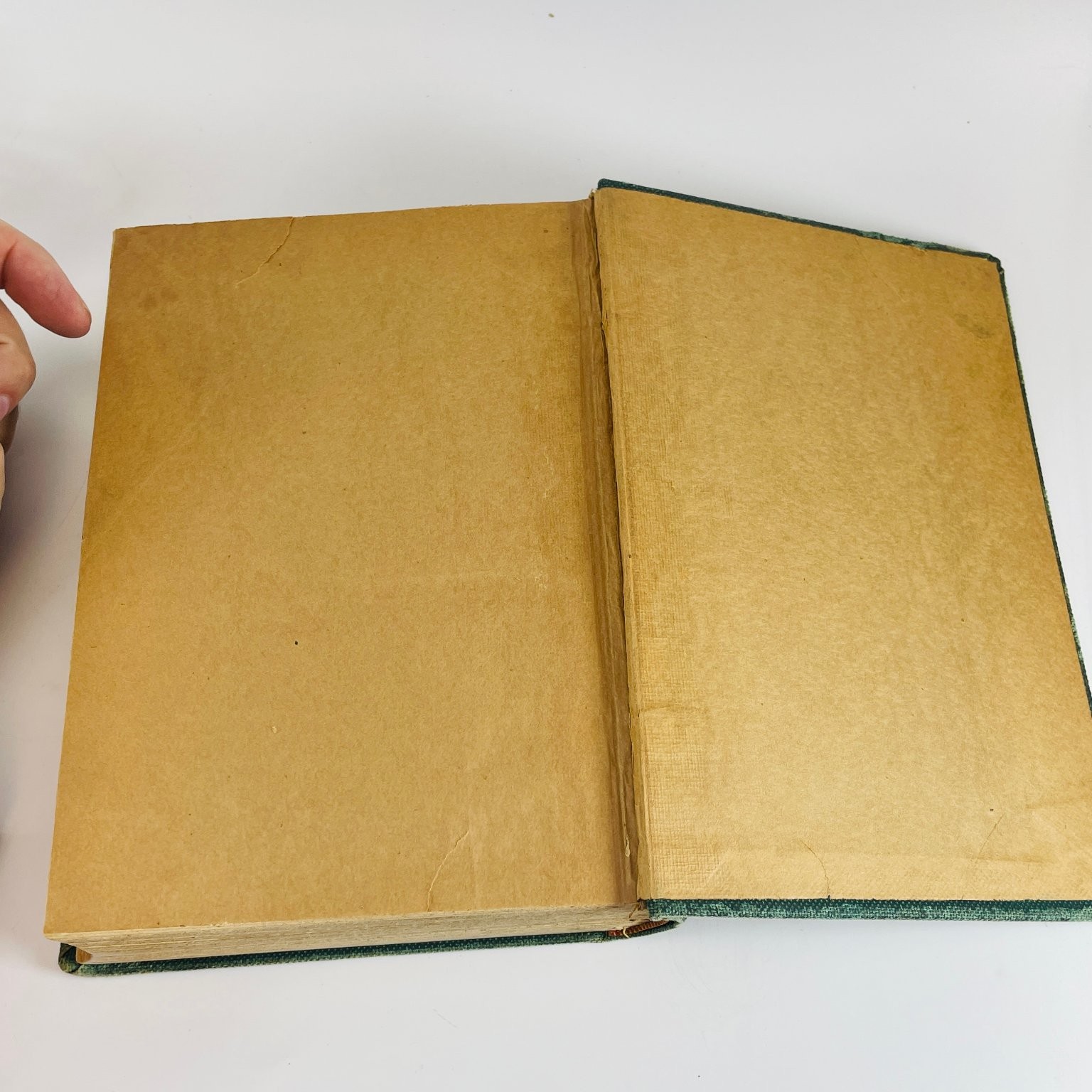 Every-Day Life of Abraham Lincoln Browne 1886 Illustrated Biography N.D