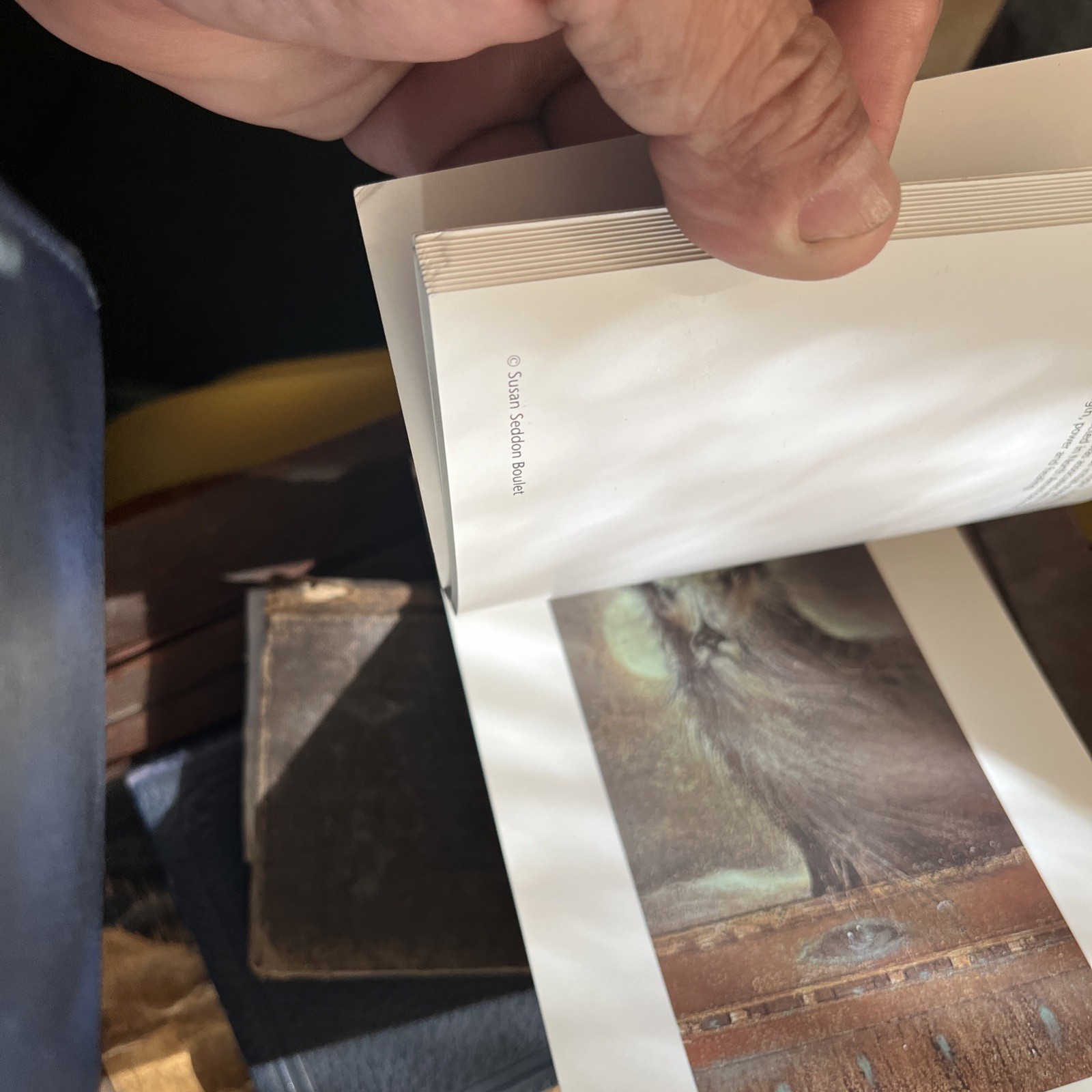 A SUSAN SEDDON BOULET BESTIARY: A BOOK OF POSTCARDS