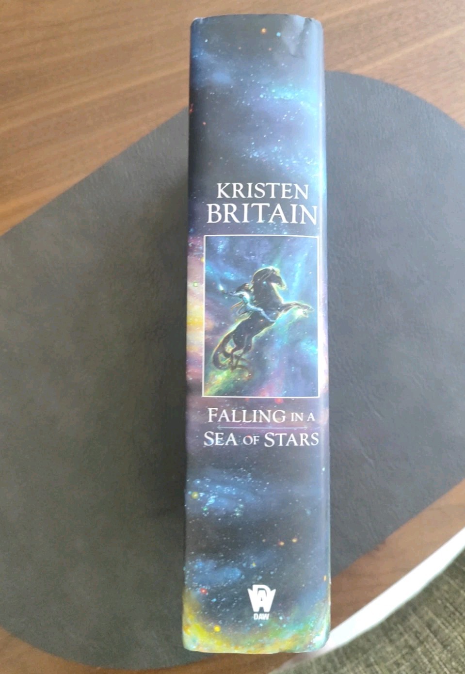 Falling in a Sea of Stars by Kristen Britain (2025, Hardcover)
