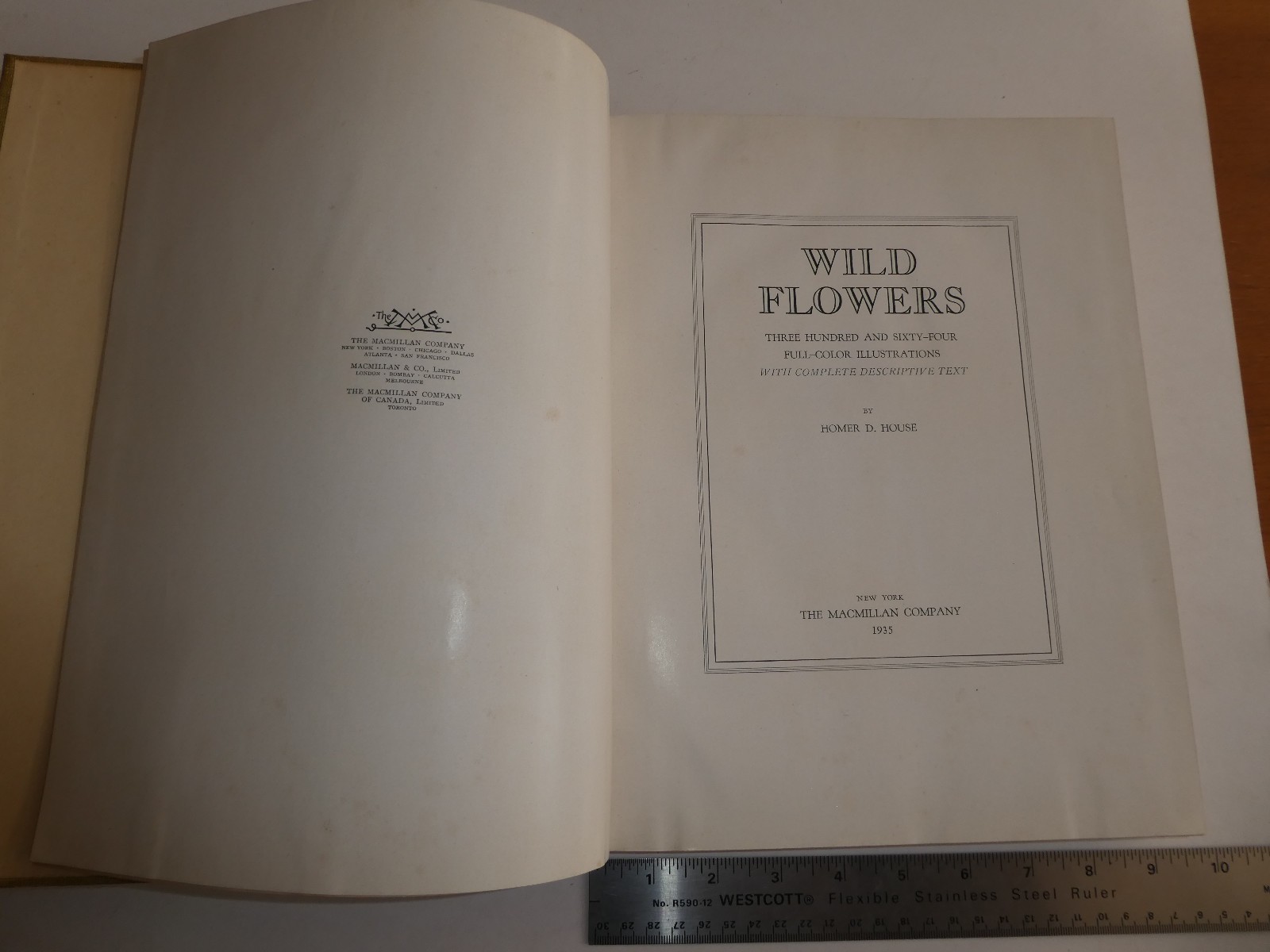 Wild Flowers by Homer D. House 1935 Macmillan Company Elzie S. Wechsler Columbia