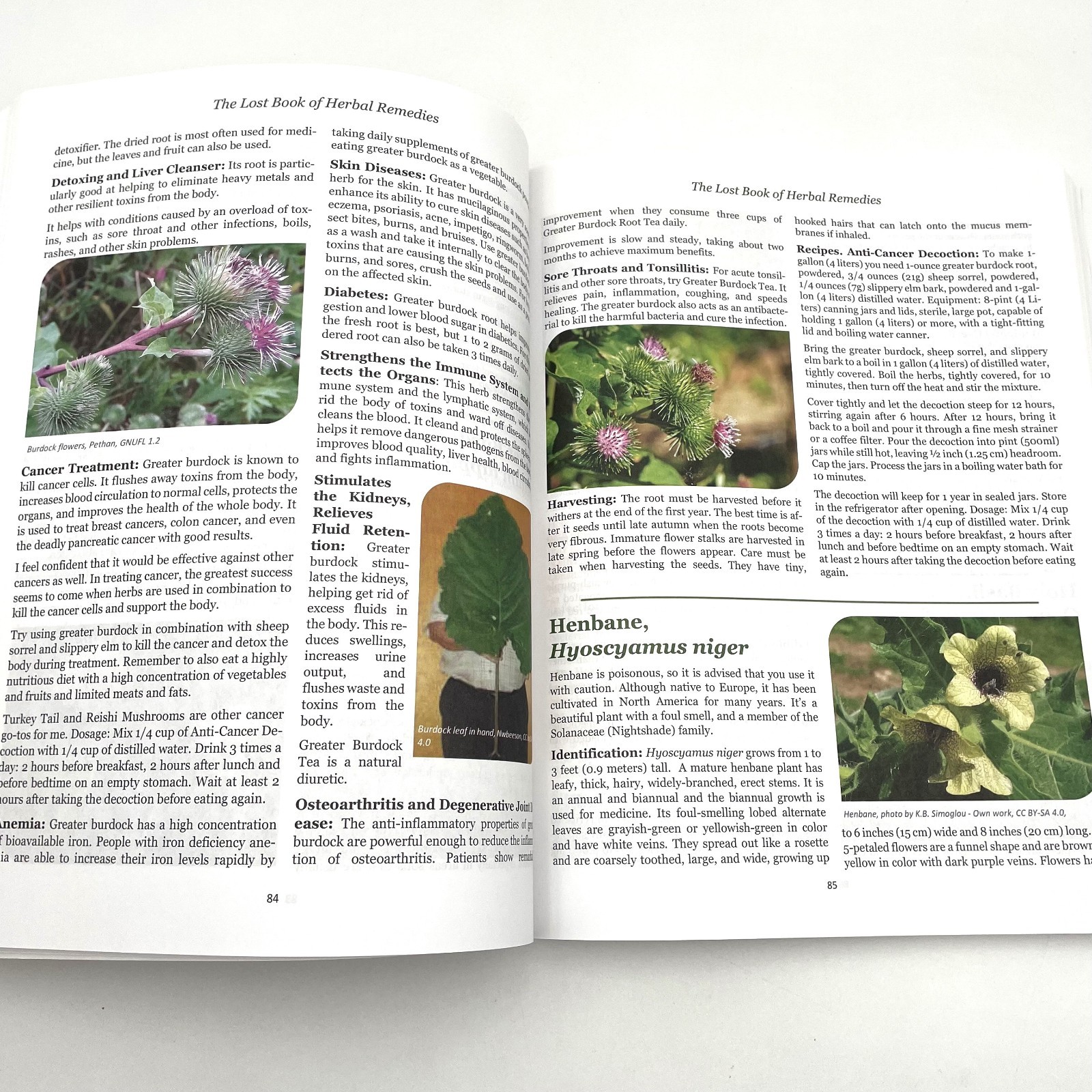 The Lost Book of Herbal Remedies Nicole Apelian, Ph.D and Claude Davis 2020 VG