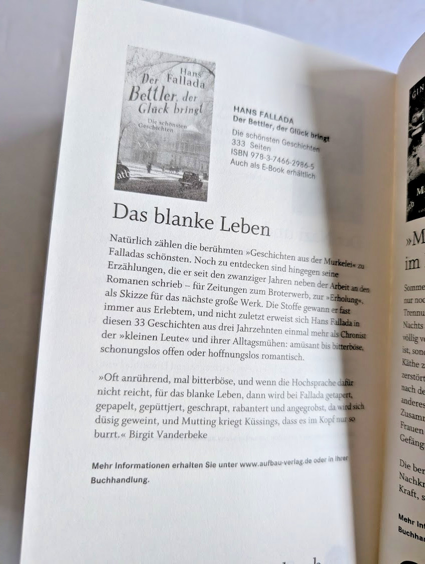 Ernst Haffner – Blutsbruder – Aufbau Taschenbuch, PB, GC+
