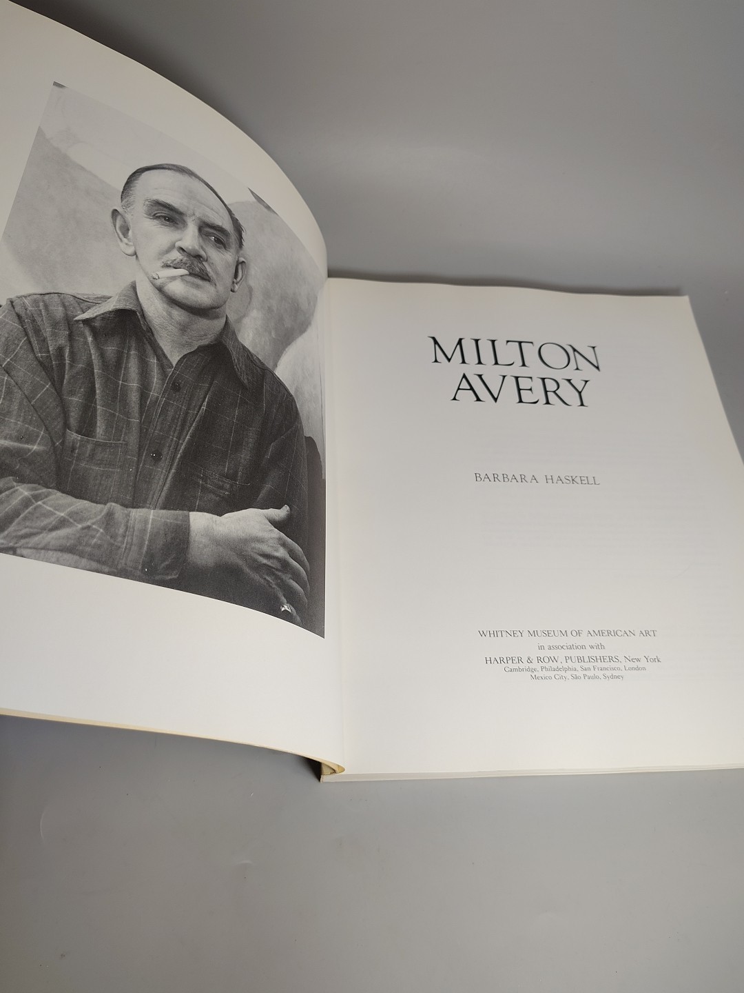 Vtg MILTON AVERY By Barbara Haskell Paperback Whitney Museum American Art 1st Ed
