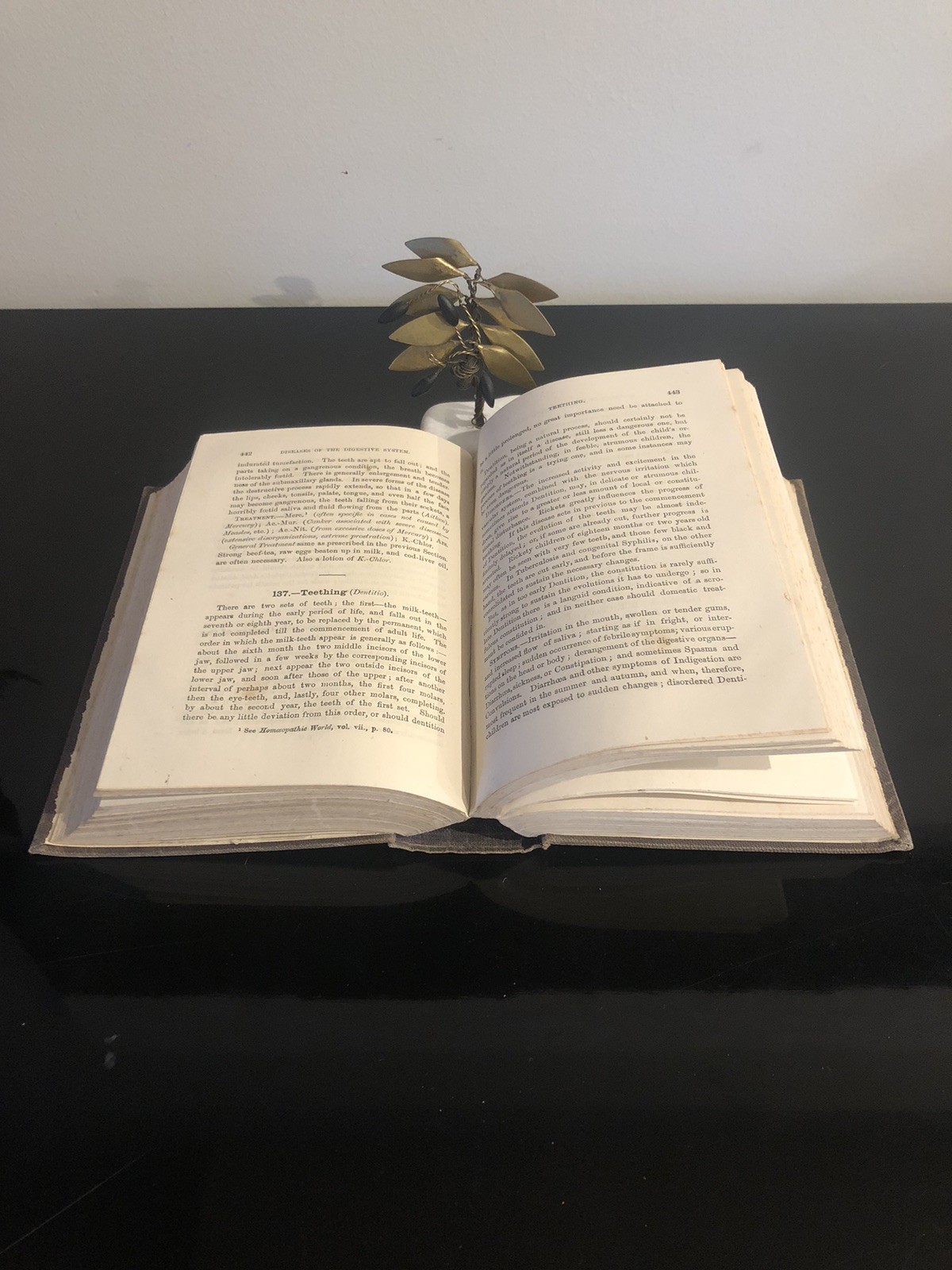 Homoeopathic Vade Mecum H Ruddock Gould&Son 8th Edition 1877 Medical&Surgery ExL